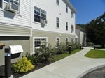 Belleville House North Kingstown butterfly bushes